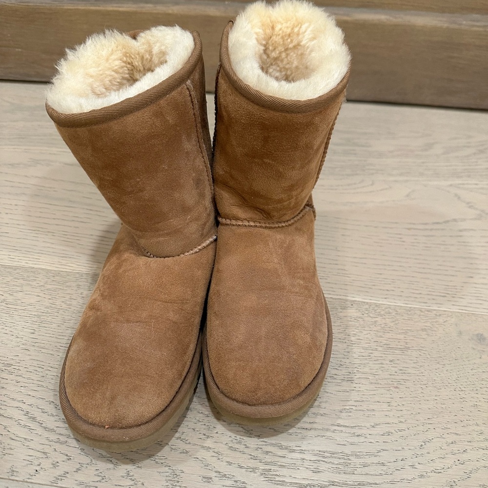 Classic Short Chestnut color  Uggs size 6